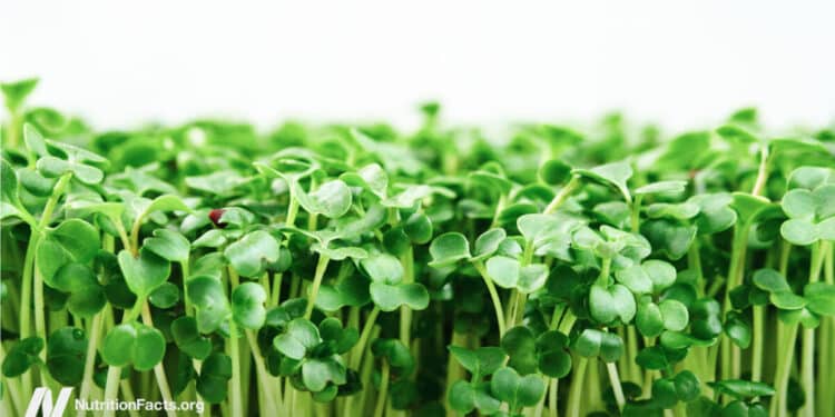The Best Foods to Fight H. Pylori