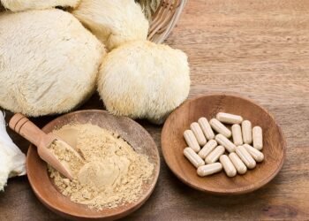 Lion’s Mane for Women: Brain Health, Stress Support and How to Use It