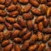 Smoked almonds – Lazy Cat Kitchen